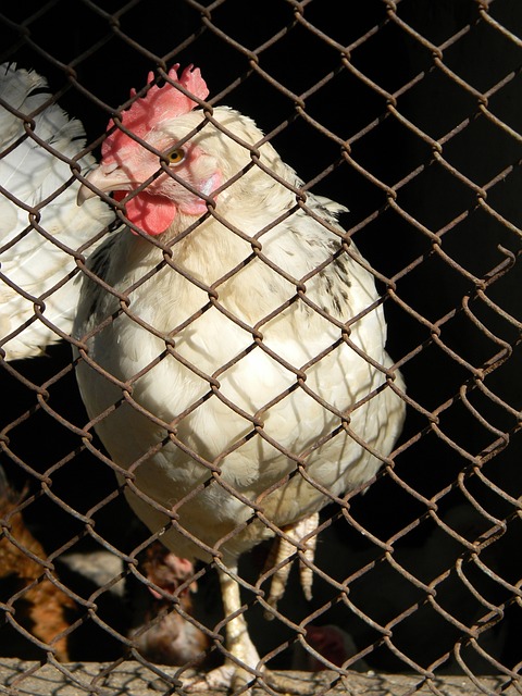 對球迷而言 對球迷而言